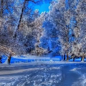 Meet your Posher, Lorie